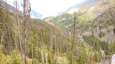 Insect kills and wildfires scar the remote and protected Stein Valley wilderness in B.C. Photo by Barry Saxifrage, 2018